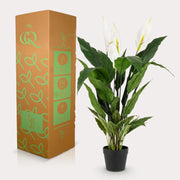 Spathiphyllum Kunstplant (Lepelplant) Everspring