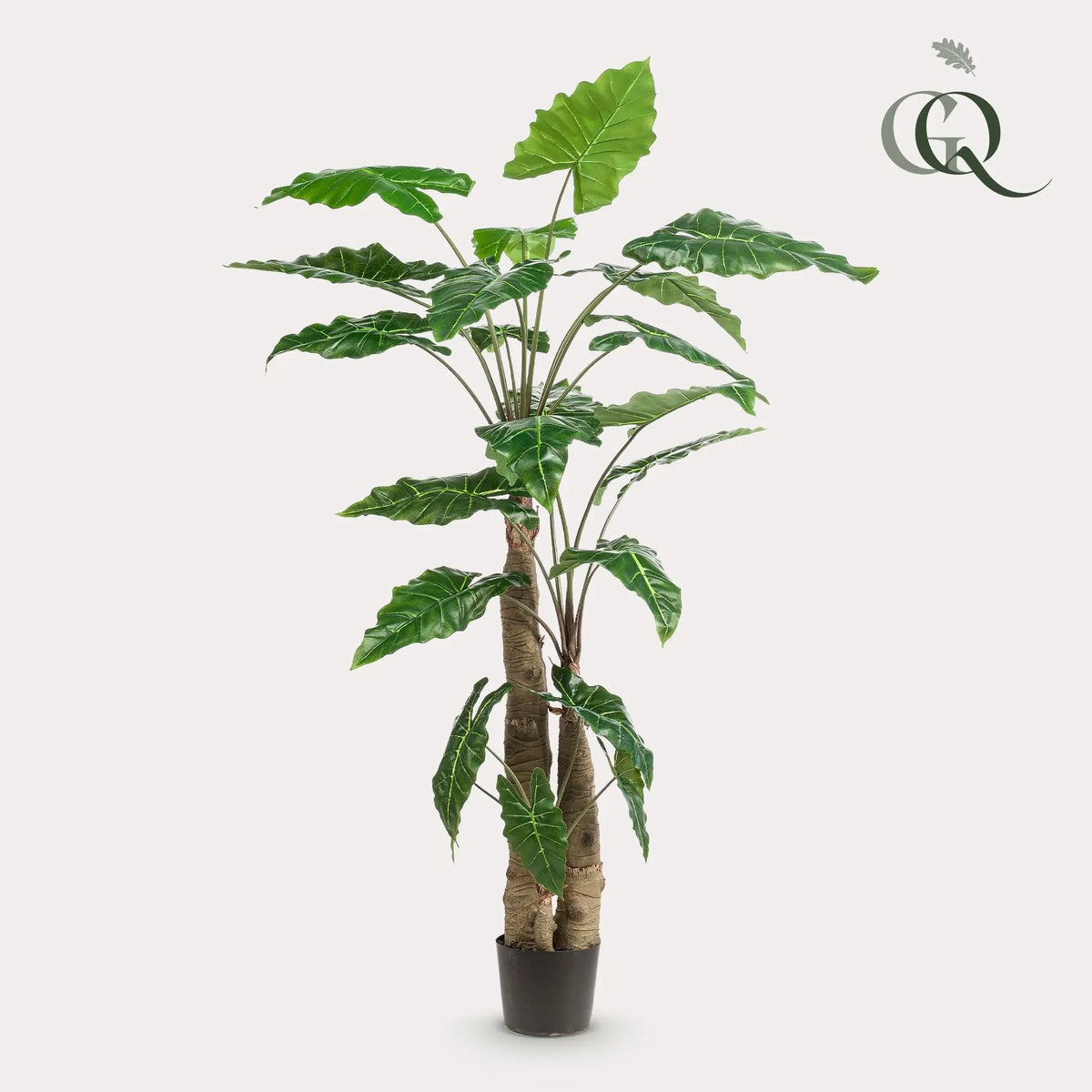 Alocasia kunstplant (Olifantsoor) Everspring