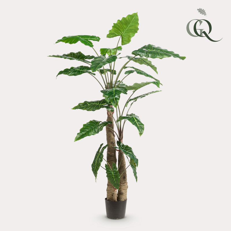 Alocasia kunstplant (Olifantsoor)