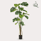 Monstera Kunstplant (Gatenplant) Everspring