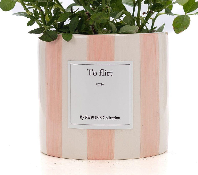 Rosa Light Pink Gift “To Flirt”