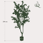 Prunus Kunstplant (Kersenbloesem) Everspring