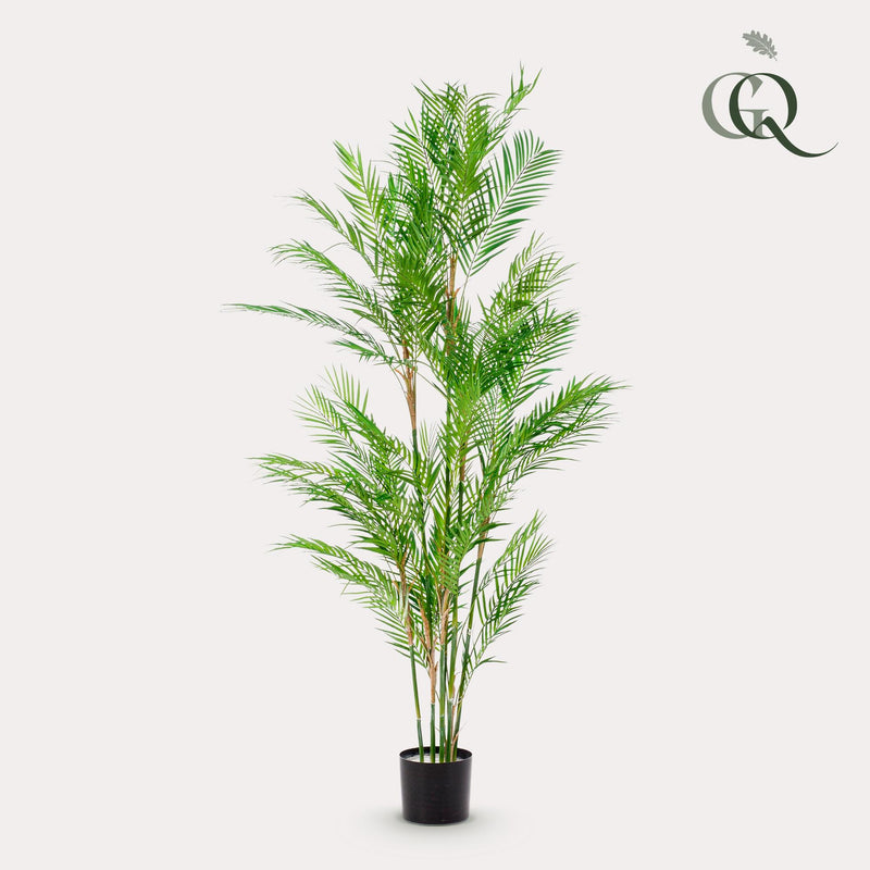 Chamaedorea Elegans Kunstplant (Bergpalm)