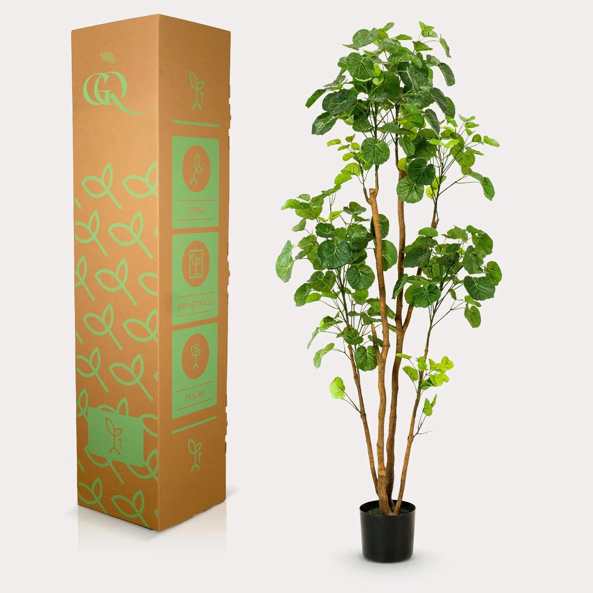 Polyscias Kunstplant (Aralia) Everspring