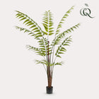 Rumohra Adiantiformis Kunstplant (Ledervaren)