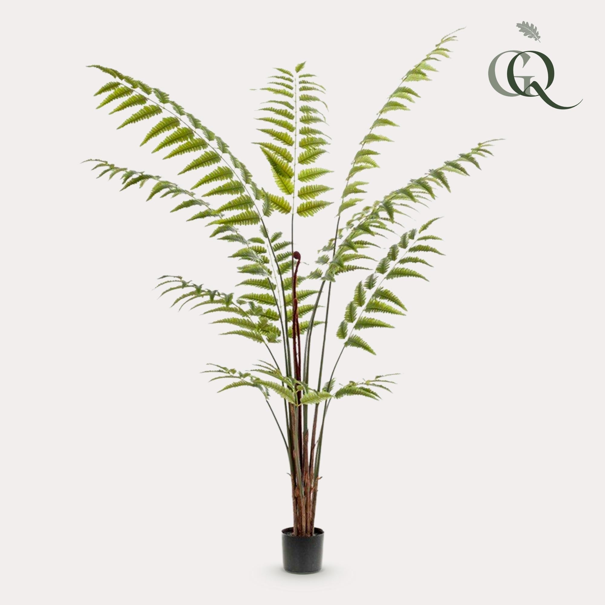 Rumohra Adiantiformis Kunstplant (Ledervaren)