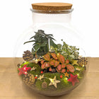 Christmas Terrarium Decoration Kit