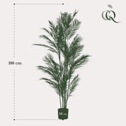 Chamaedorea Elegans Kunstplant (Bergpalm)