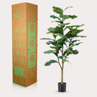 Ficus Lyrata Kunstplant (Tabaksplant) Everspring