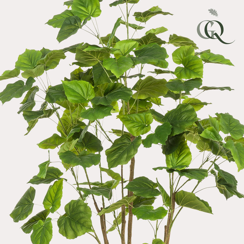 Ficus Umbellata kunstplant (Afrikaanse Vijg)