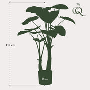 Alocasia Kunstplant (Olifantsoor) Everspring