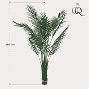 Areca Lutescens Kunstplant (Goudpalm) Everspring