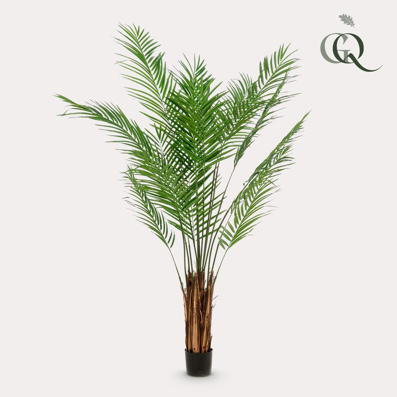 Areca Lutescens Kunstplant (Goudpalm)