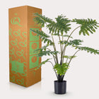 Philodendron Kunstplant Everspring
