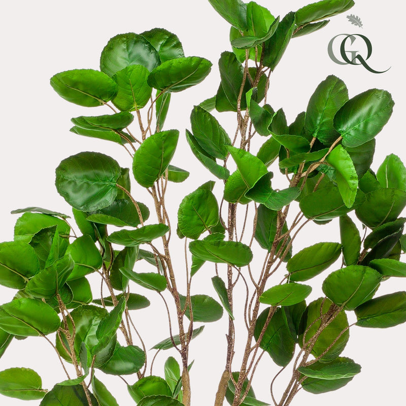 Polyscias kunstplant (Aralia)