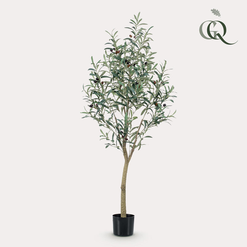 Kunst Olijfboom (Olea europaea)