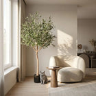 Kunst Olijfboom (Olea europaea) Everspring