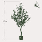 Kunst Olijfboom (Olea europaea)