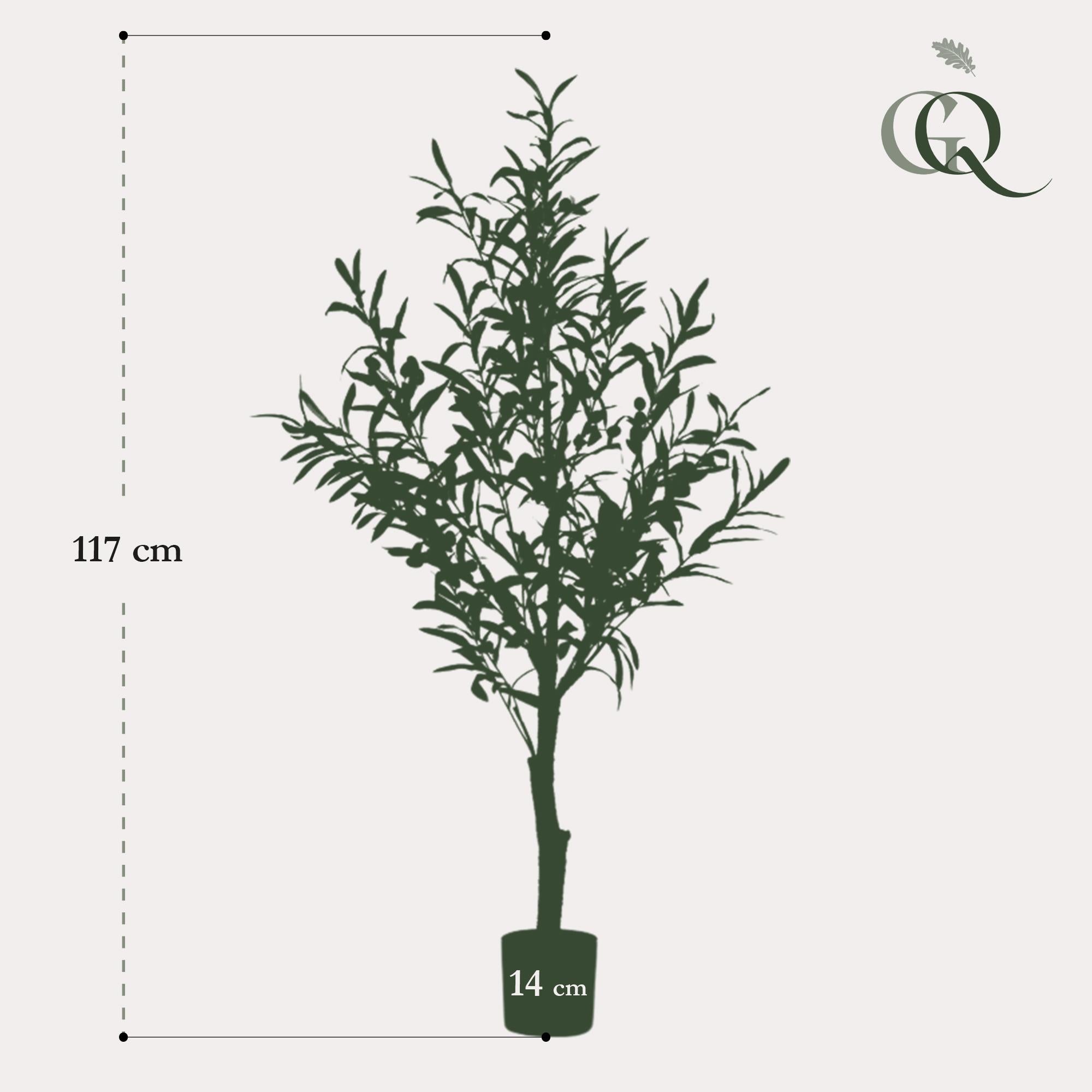 Kunst Olijfboom (Olea europaea)