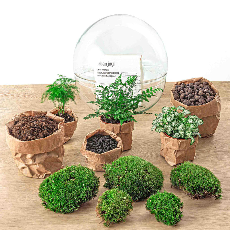 Dome XL Terrarium