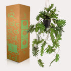 Philodendron kunstplant