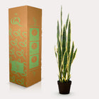 Sansevieria Trifasciata Kunstplant (Vrouwentong)