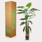 Alocasia kunstplant (Olifantsoor) Everspring