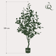 Eucalyptus Kunstplant (Blauwe Gomboom) Everspring