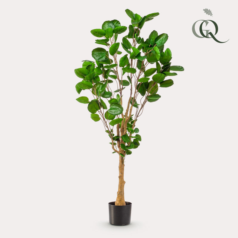 Polyscias kunstplant (Aralia)
