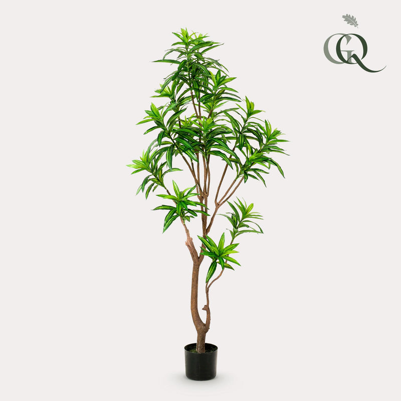 Dracaena kunstplant (Drakenboom)