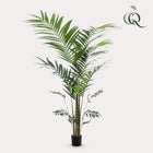 Kentia kunstplant (Kentiapalm)