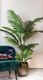 Howea Forsteriana Kunstplant (Paradijspalm)