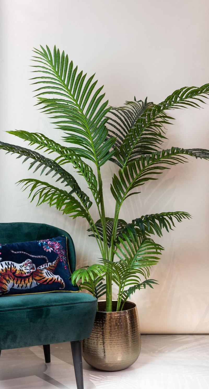 Howea Forsteriana Kunstplant (Paradijspalm)