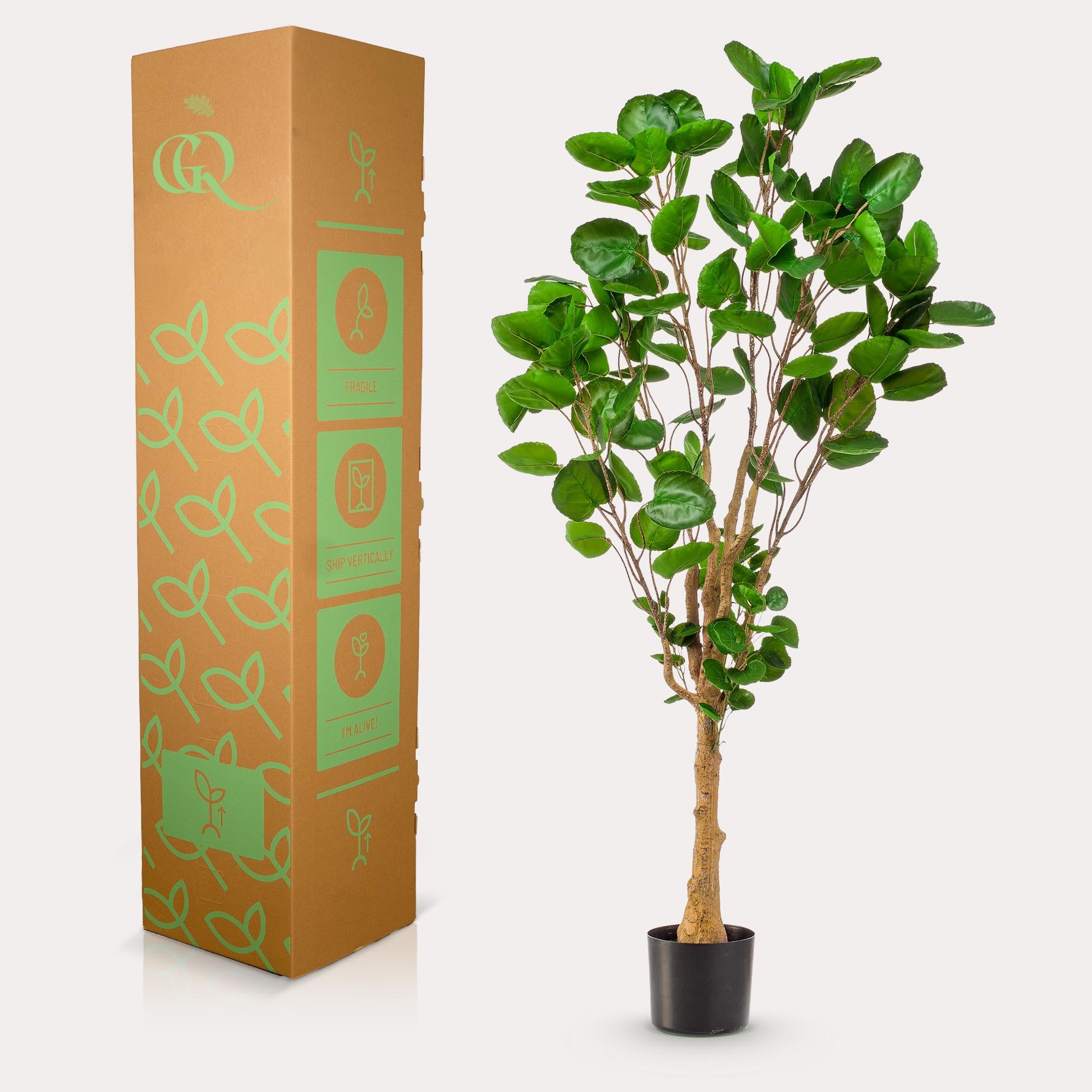 Polyscias kunstplant (Aralia)
