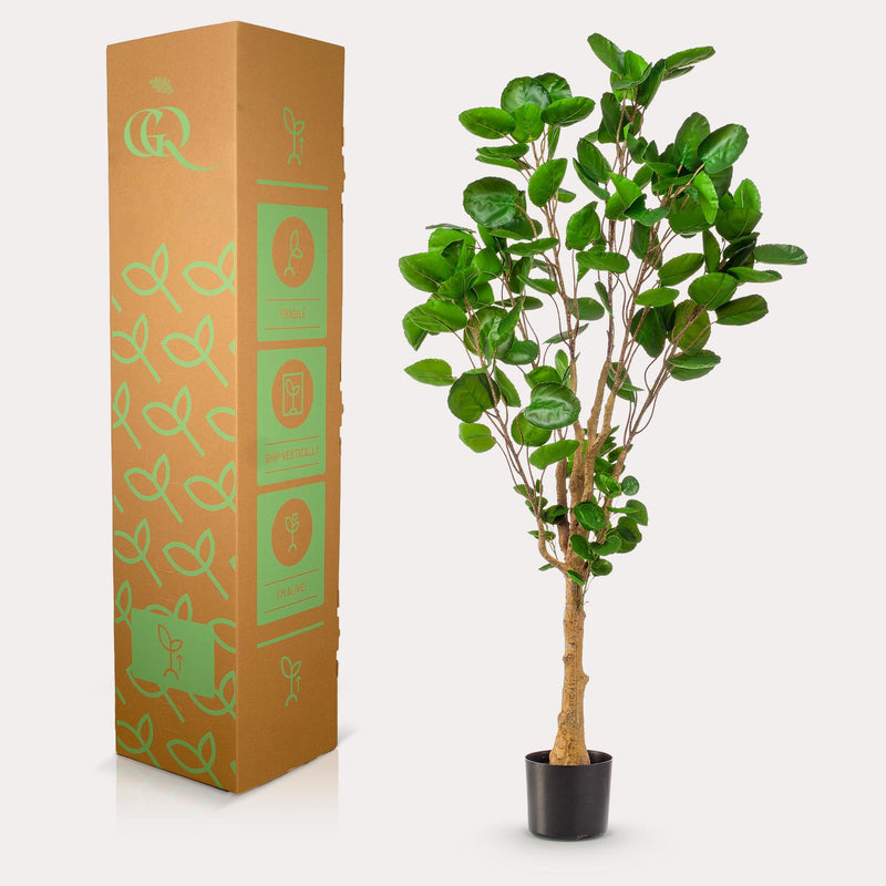 Polyscias kunstplant (Aralia)