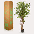 Ficus Liana Kunstplant (Vioolbladplant)