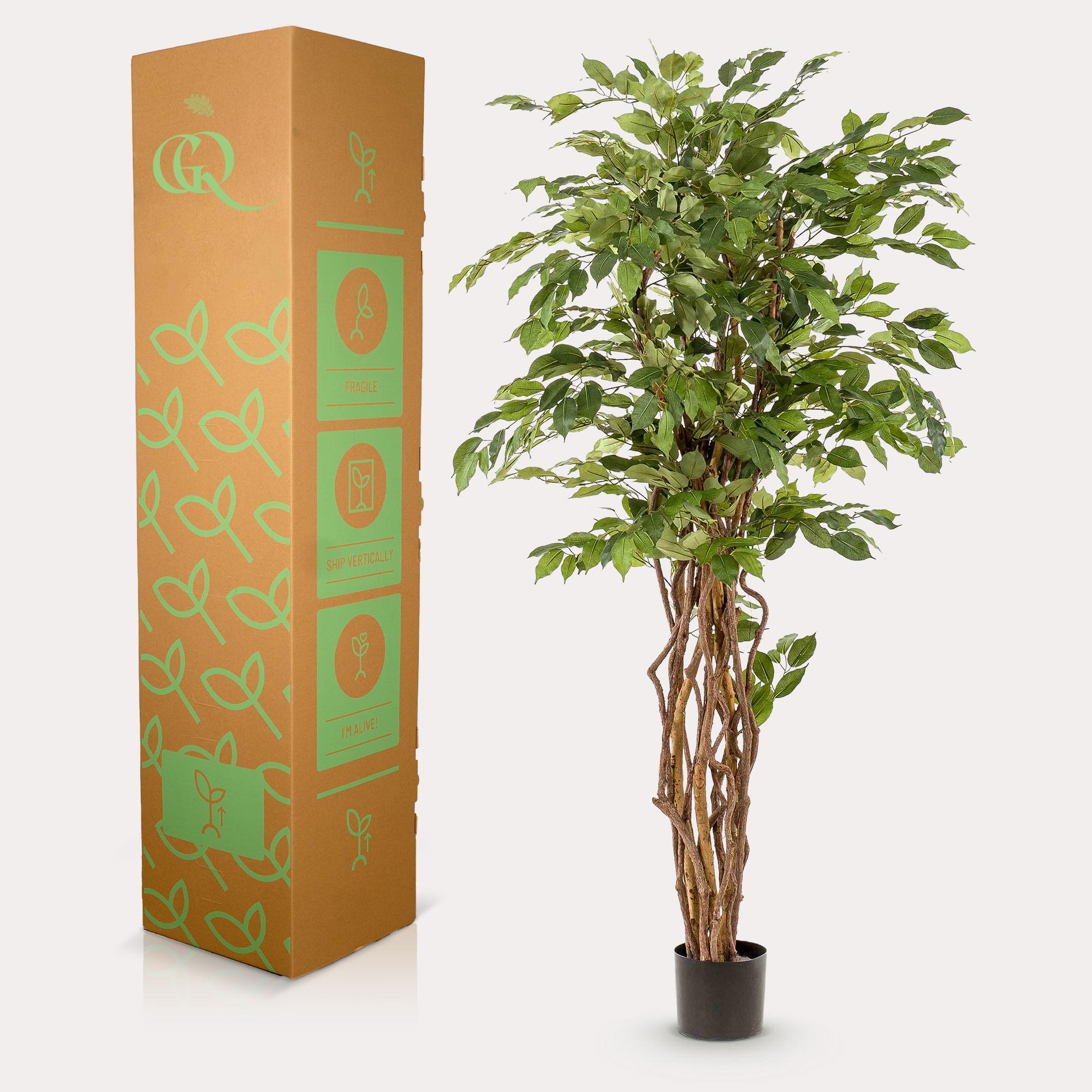 Ficus Liana Kunstplant (Vioolbladplant)