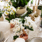 Kolibri Orchids | Witte orchidee Nazaré + Pearl sierpot Travertine