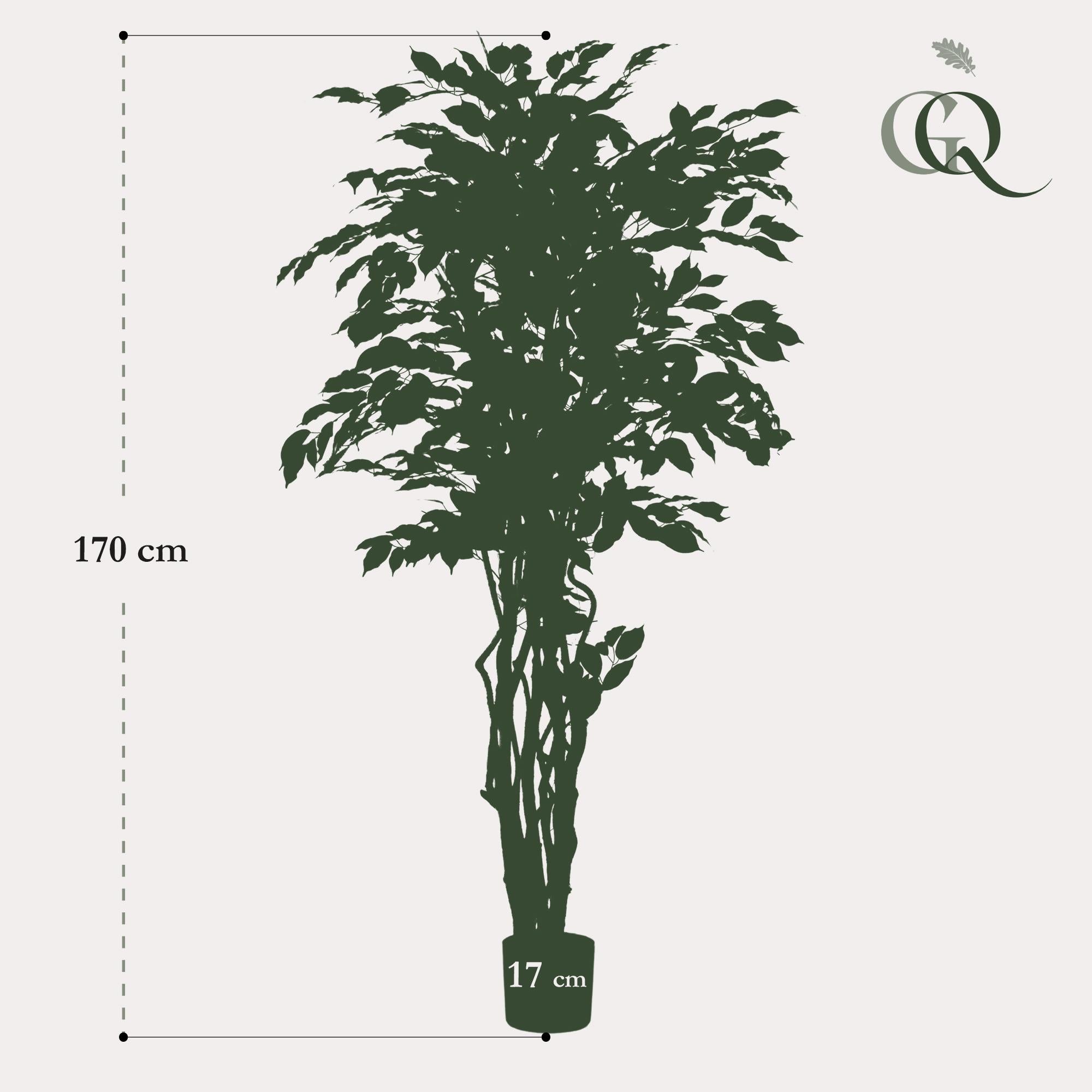 Ficus Liana Kunstplant (Vioolbladplant)