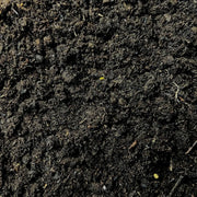 Culvita Potgrond Speciaal + EasyCoat Plantenvoeding Everspring