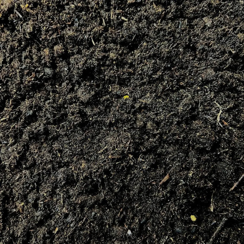 Culvita Potgrond Speciaal + EasyCoat Plantenvoeding Everspring