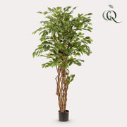 Ficus Liana Kunstplant (Vioolbladplant)