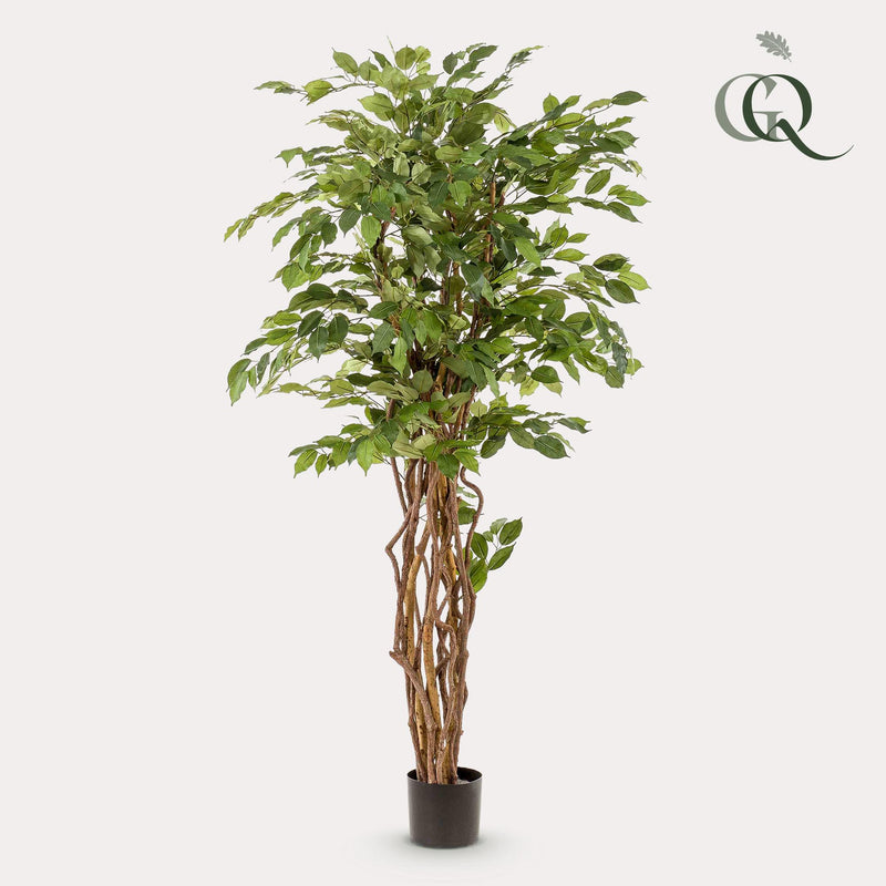 Ficus Liana Kunstplant (Vioolbladplant)