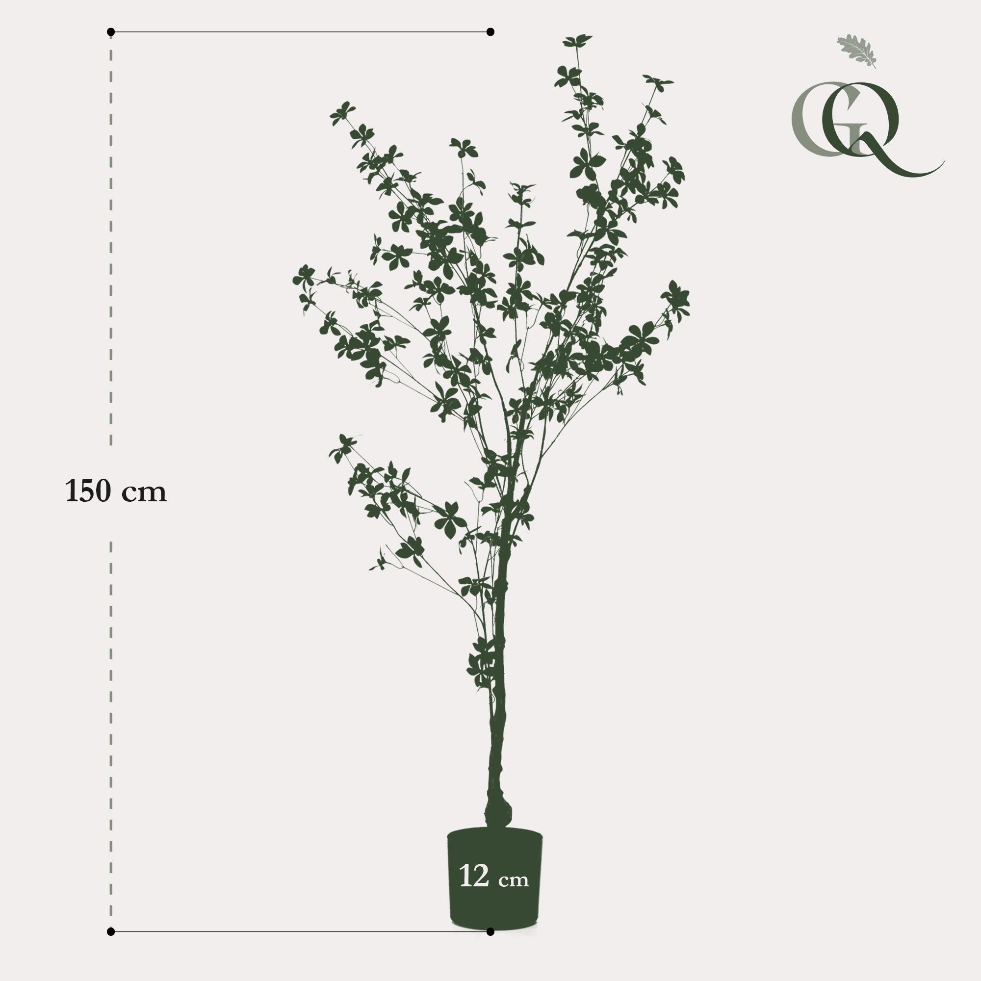 Kunst Tropaeolum Speciosum (Oost-Indische Kers)