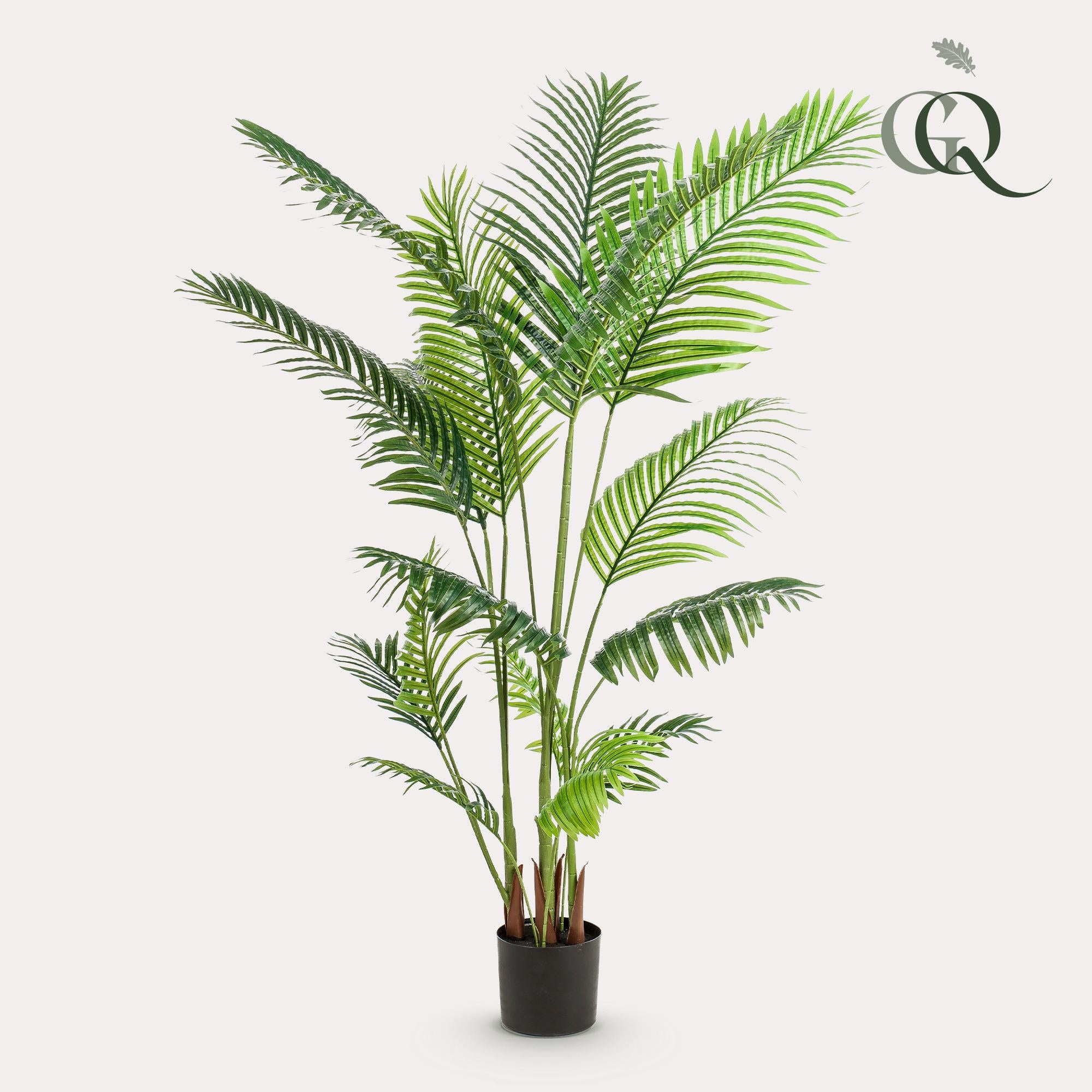 Howea Forsteriana Kunstplant (Paradijspalm)