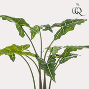 Alocasia Frydek Kunstplant (Olifantsoor)