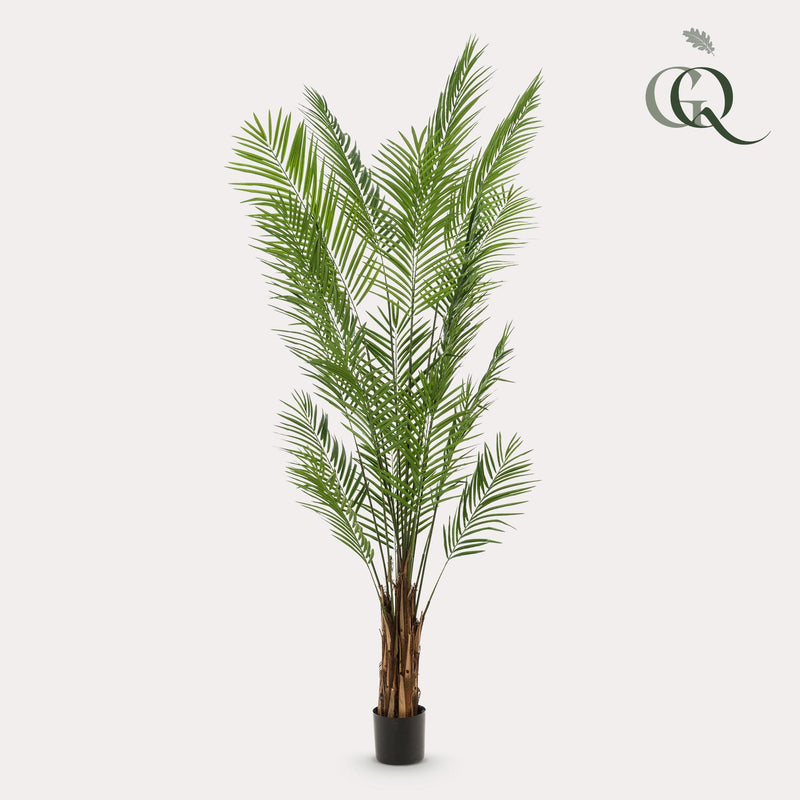 Areca Lutescens Kunstplant (Goudpalm)