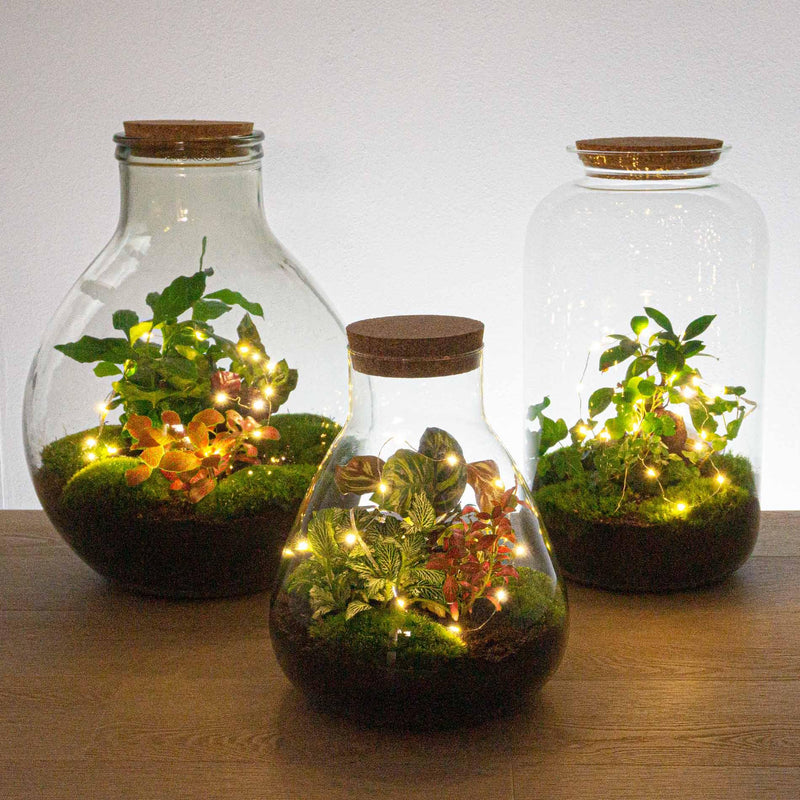 Draadverlichting Warm Wit – 1 meter