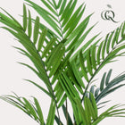 Kentia kunstplant (Kentiapalm)