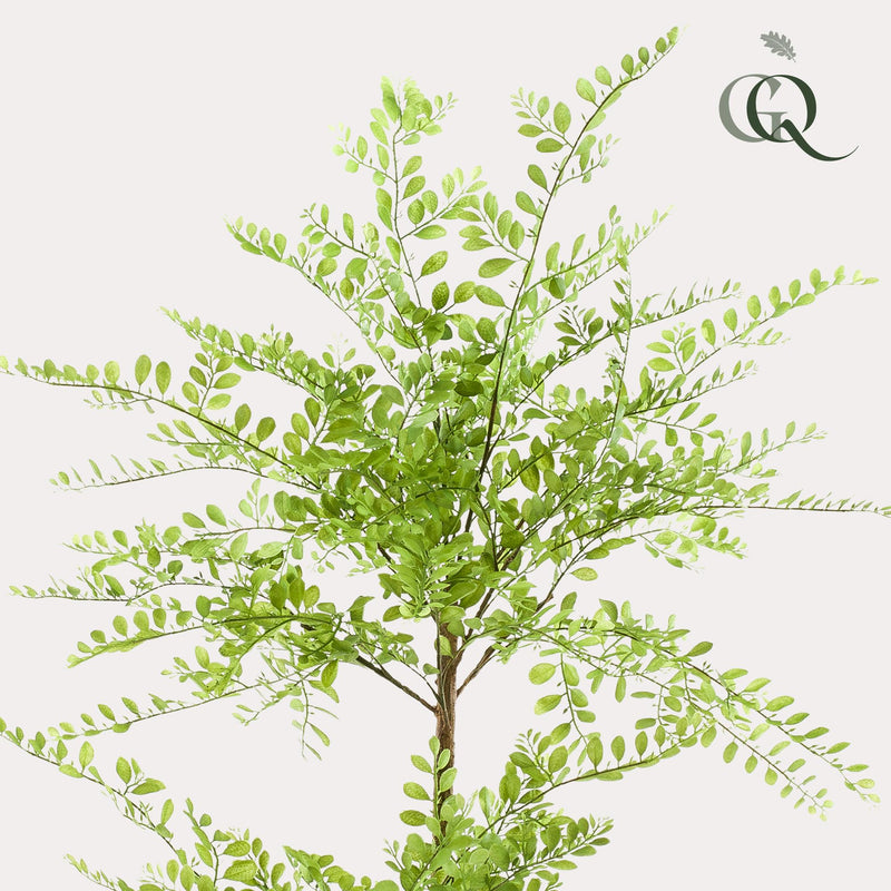 Sophora Tree Kunstplant (Honingboom)
